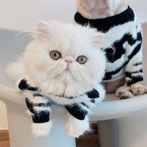 Keep Your Pet Cozy This Season with Our New Sweater