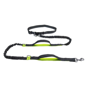 Explore the Great Outdoors with Your Furry Friend: The Pet Adjustable Harness Collar Jogging Walking Leash