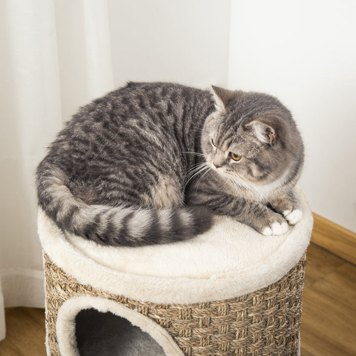 The Perfect Retreat for Your Feline Friend
