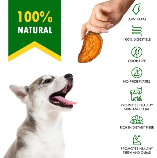 Why Your Dog Deserves Pet Sweet Potato Chips