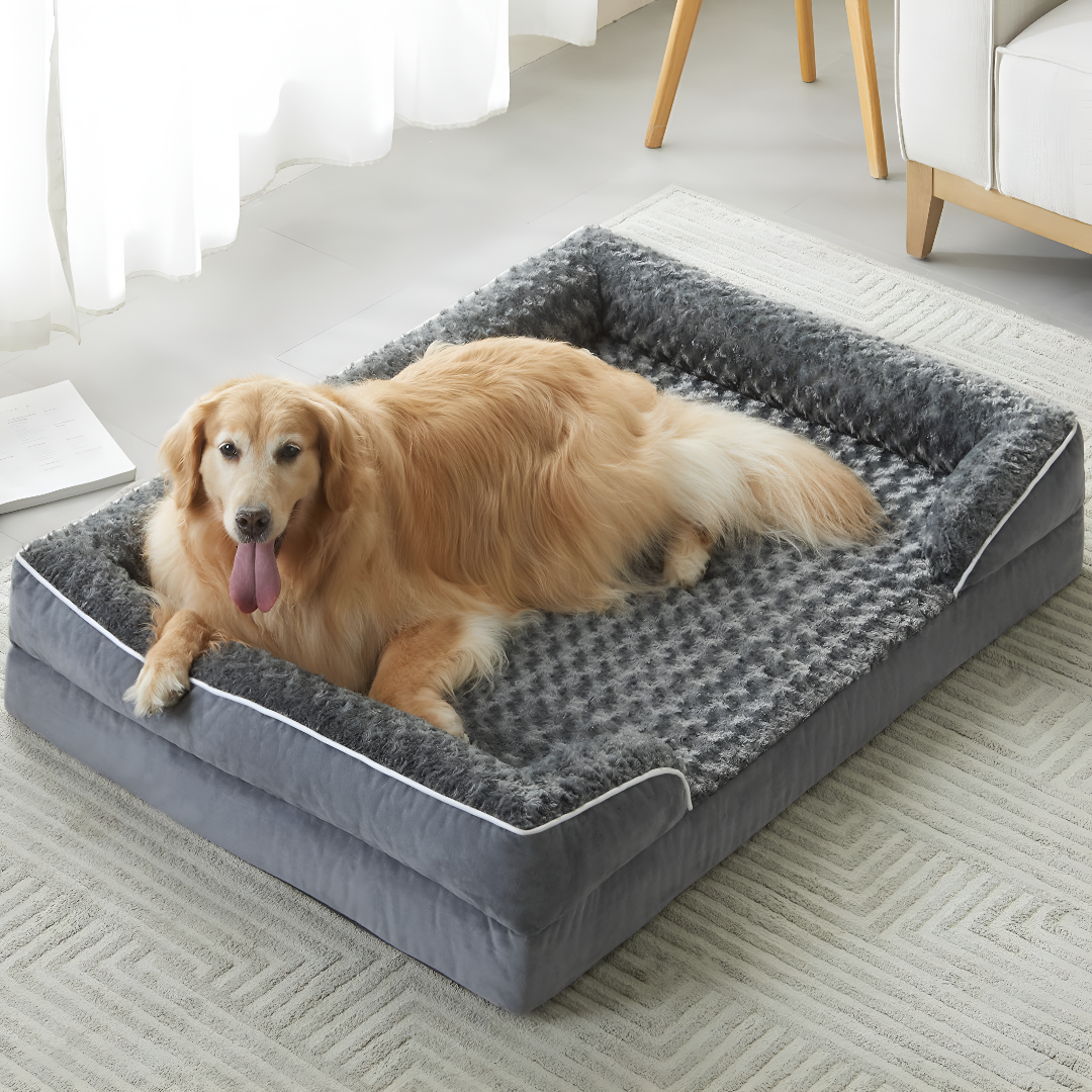 Choosing the Right Bed for Your Pet