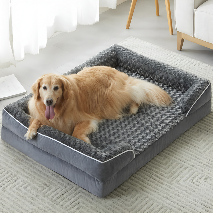 Choosing the Right Bed for Your Pet
