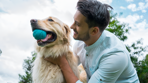 The Importance of Playtime for Pets