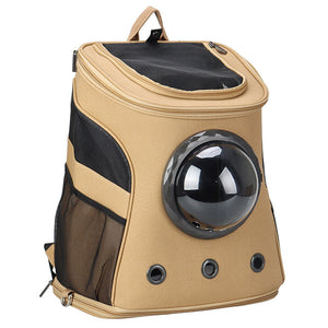Discover the Ultimate Pet Travel Solution