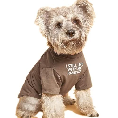 Pet Round Neck T Shirt Casual Clothing Top