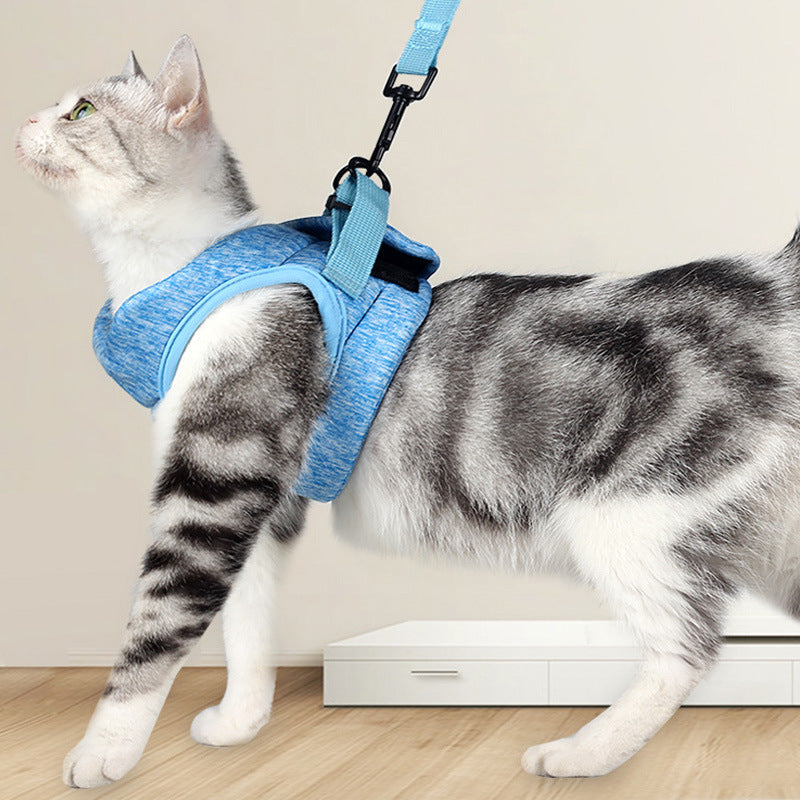 Pet Lace Rope Breathable Lightweight Chest Strap Leash