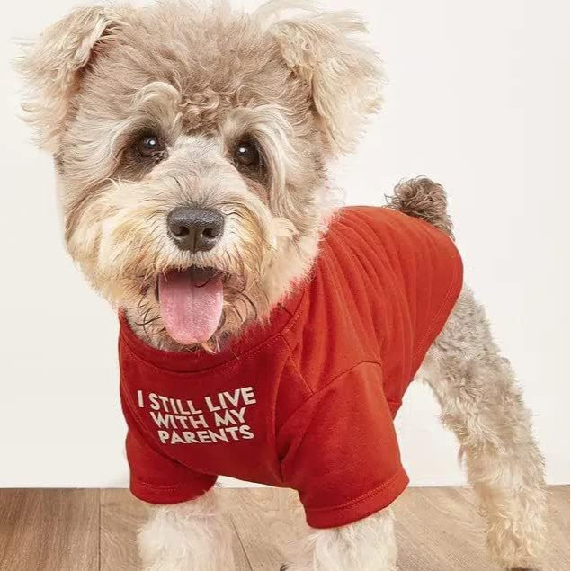 Pet Round Neck T Shirt Casual Clothing Top