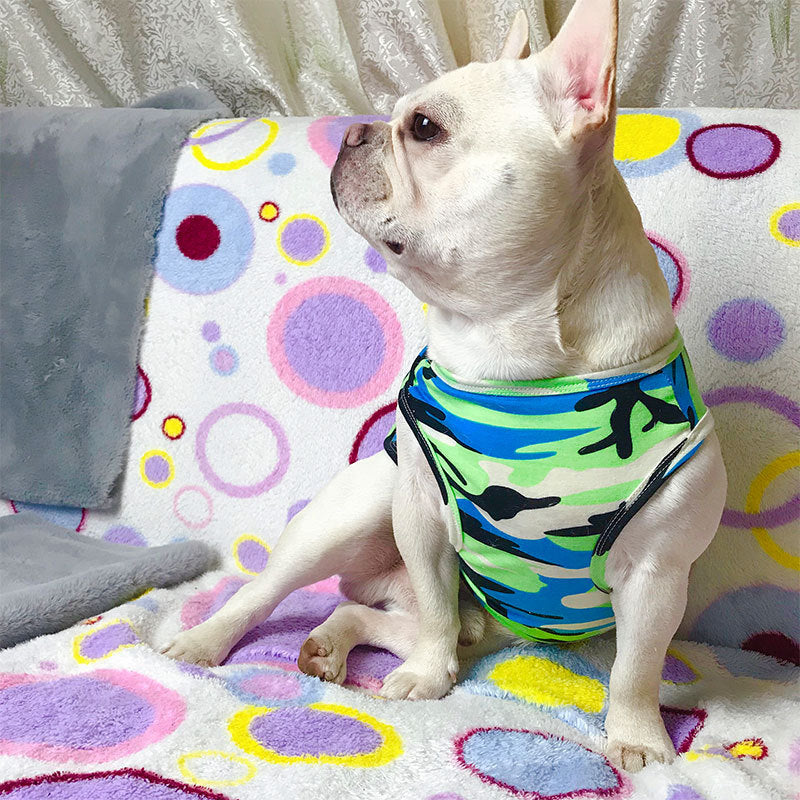 Pet Summer Fashion Personality T Shirt Clothing Top