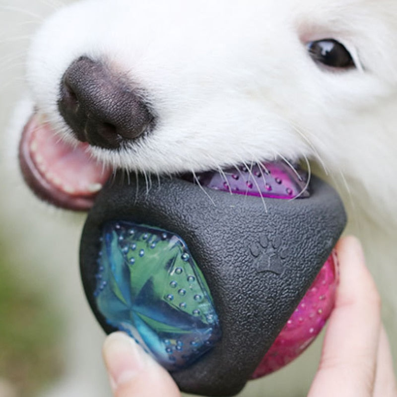 Pet Play Ball Interactive Toy For Small Animals