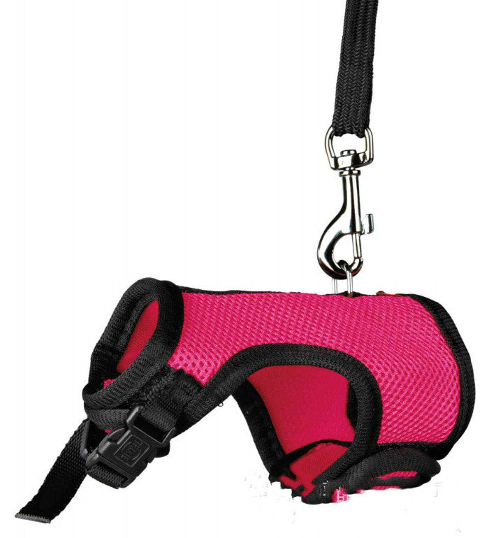 Pet Small Adjustable Safety Walking Leash