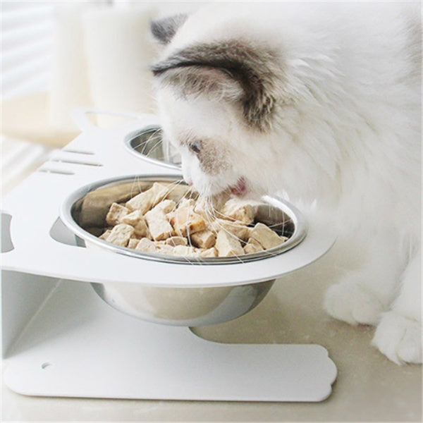 Anti Spill Pet Feeding And Water Bowl Stable Design