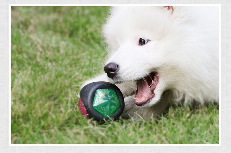 Pet Play Ball Interactive Toy For Small Animals