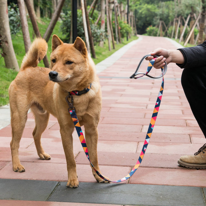 Pet Adjustable Walking Rope Safety Leash