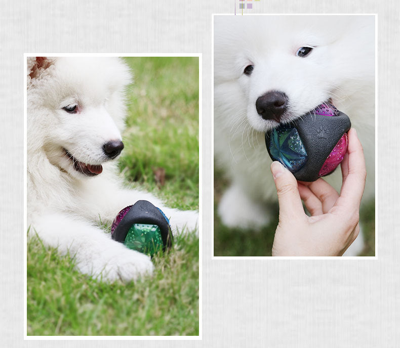 Pet Play Ball Interactive Toy For Small Animals