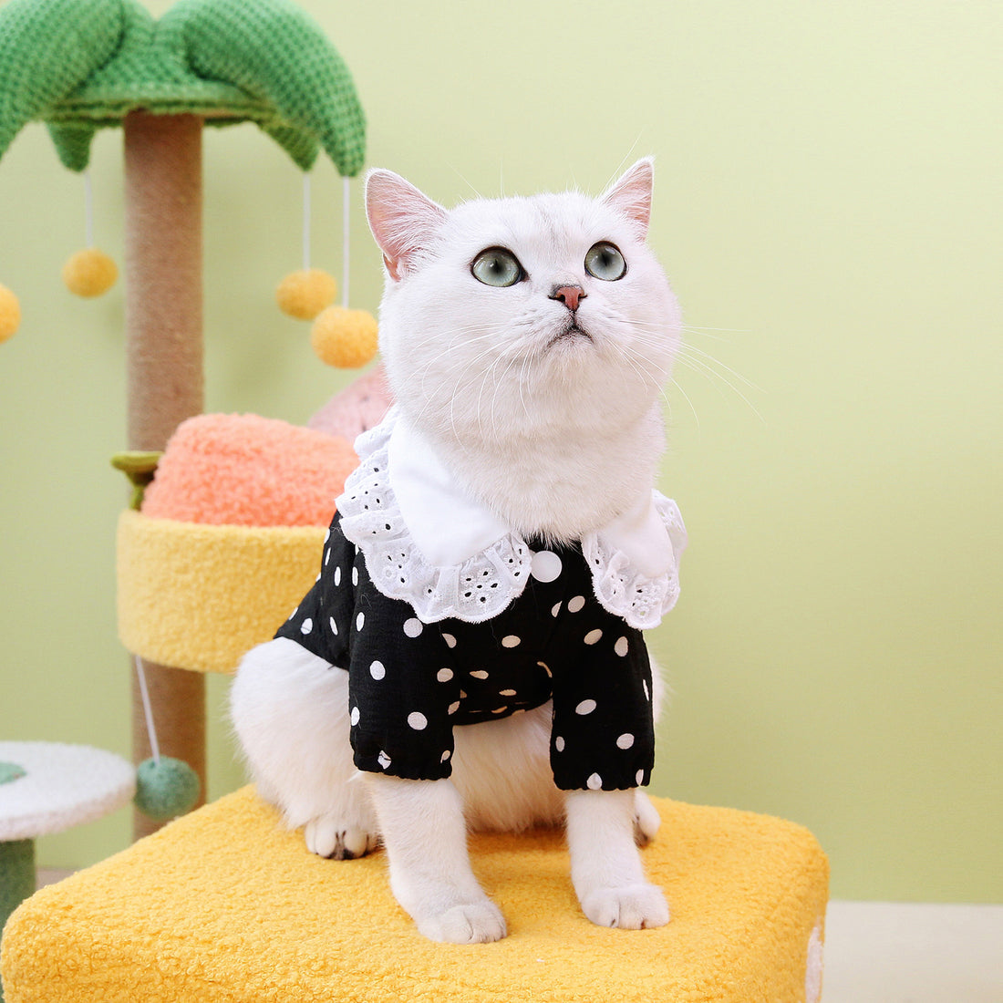Pet Blue Ragdoll T Shirt Casual Clothing Top