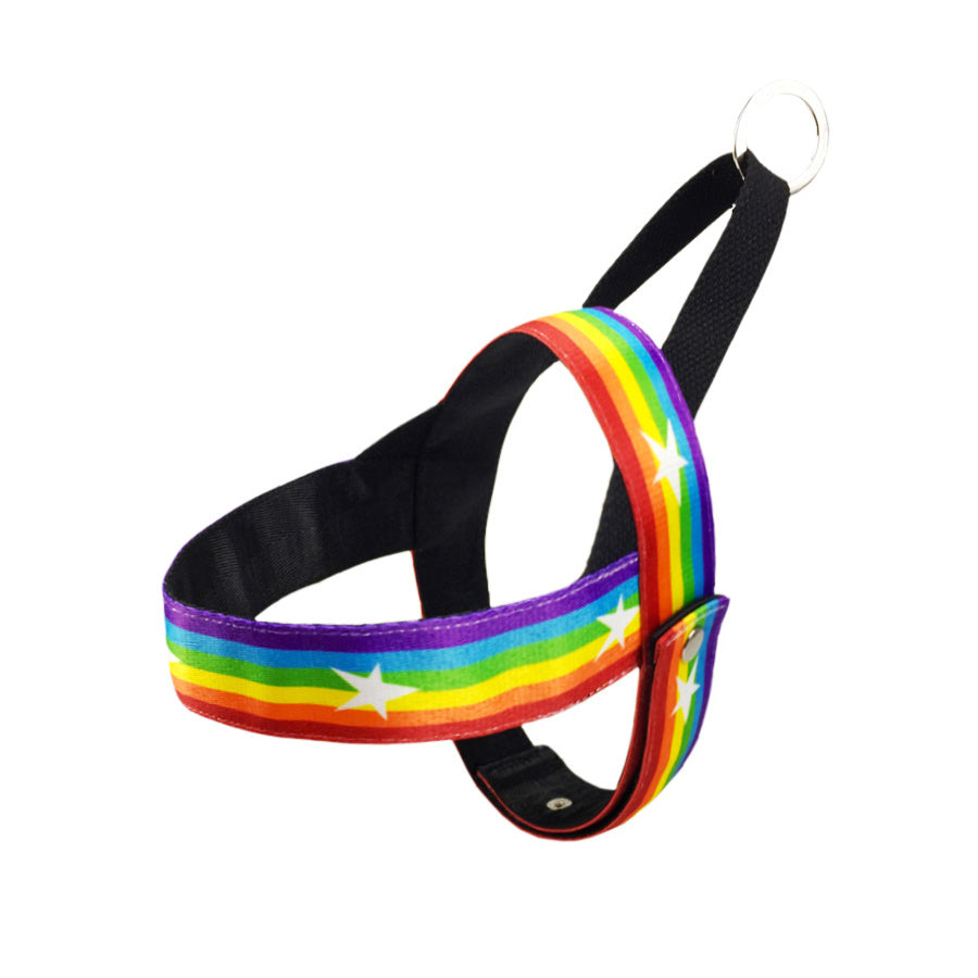 Pet Rainbow Cool Chain Walking Leash Gear