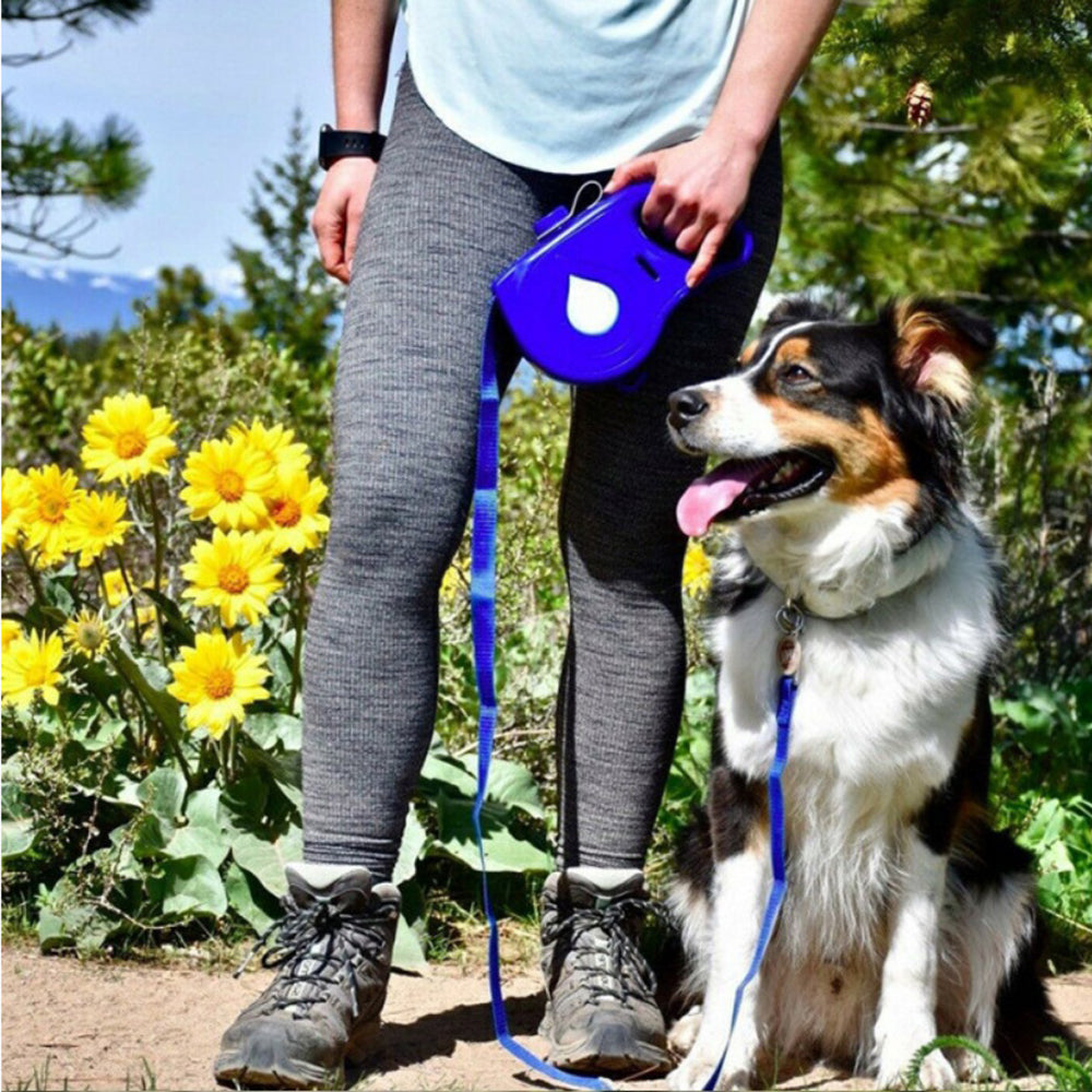 Pet Multifunctional Retractable Portable Walking Leash