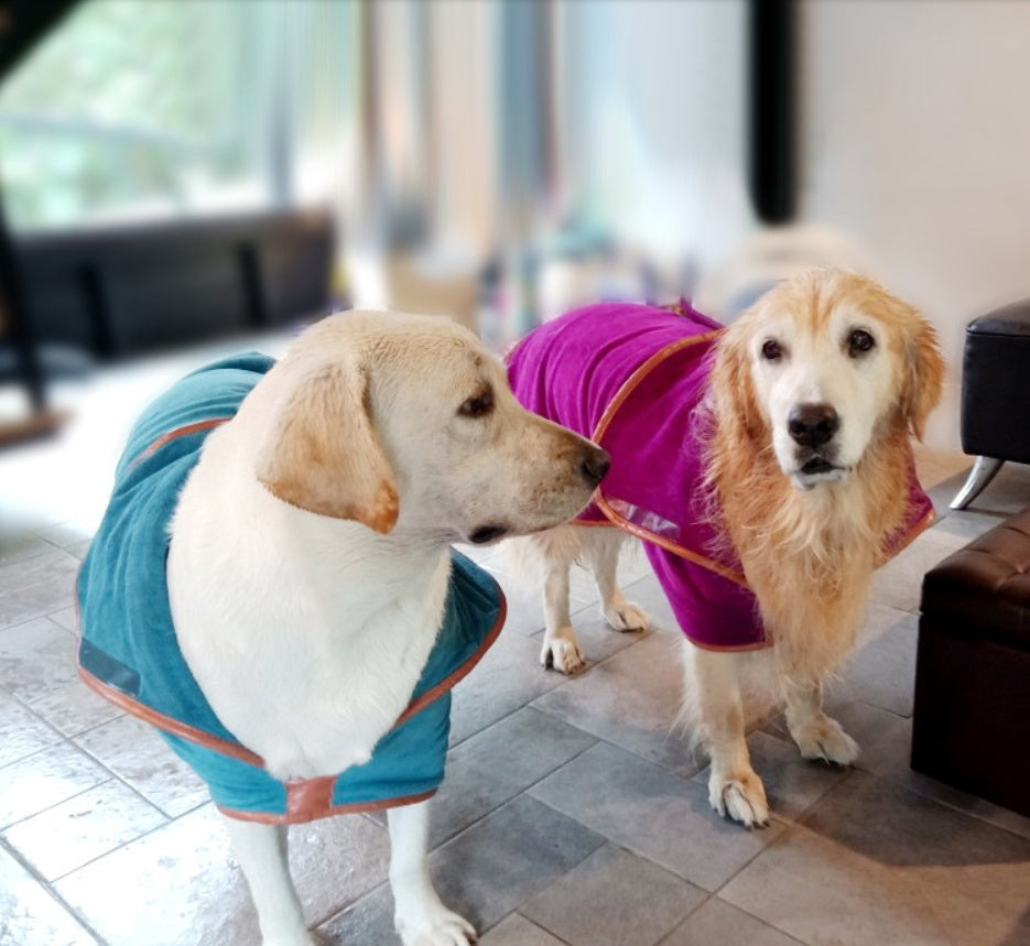 Pet Quick Dry Absorbent Bath Towel Cloth