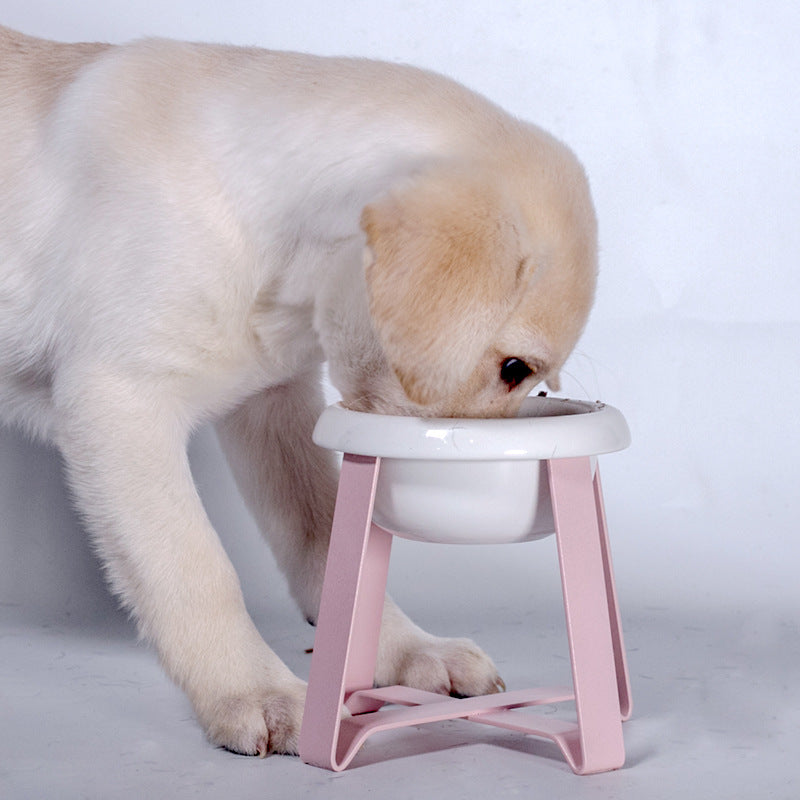 Anti Slip Pet Feeding Bowl With Iron Stand Food Water Set