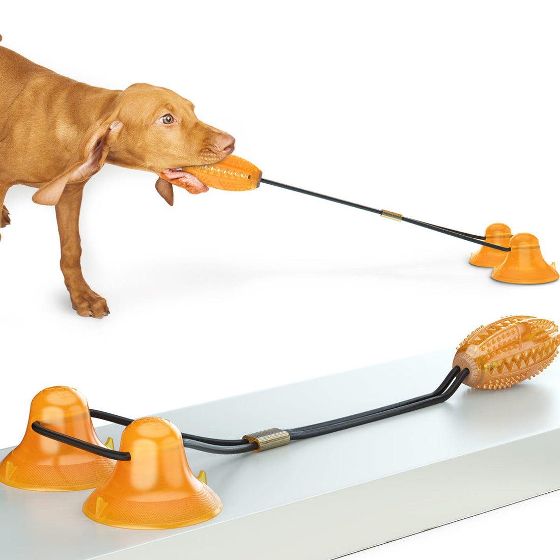 Multifunction Double Rope Ball Suction Tug Chew Pet Toy