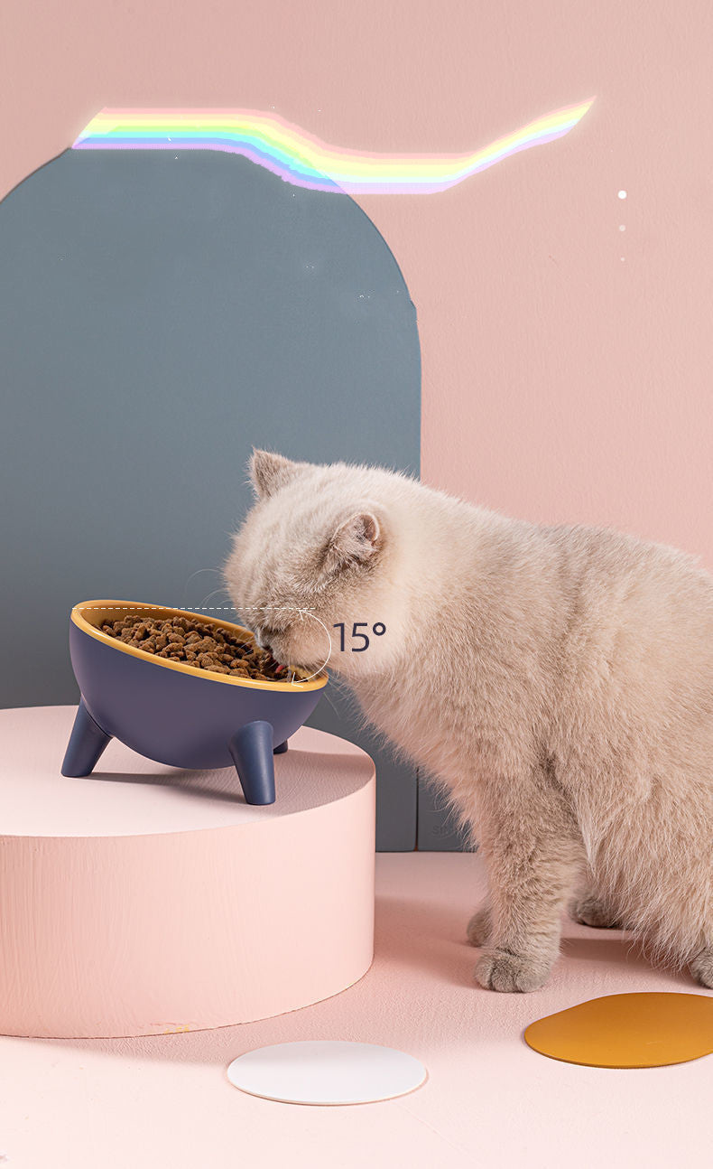 Nordic Style Pet Feeding Bowl With Stand Food And Water Dish