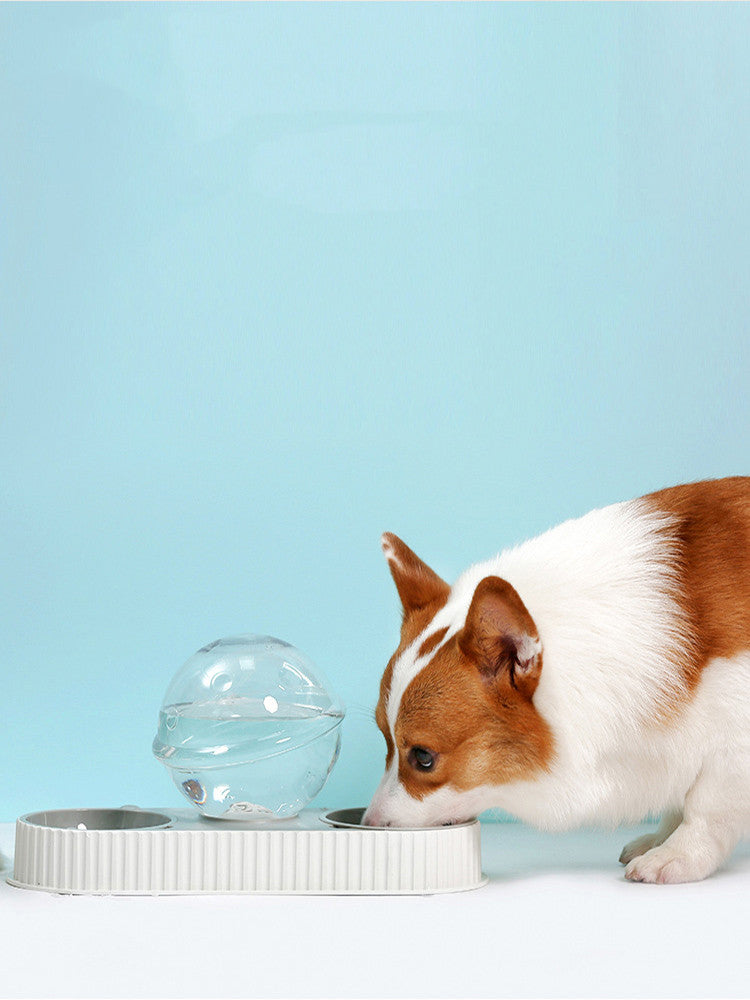 Automatic Pet Water And Feeding Bowl Plastic Dispenser Unit