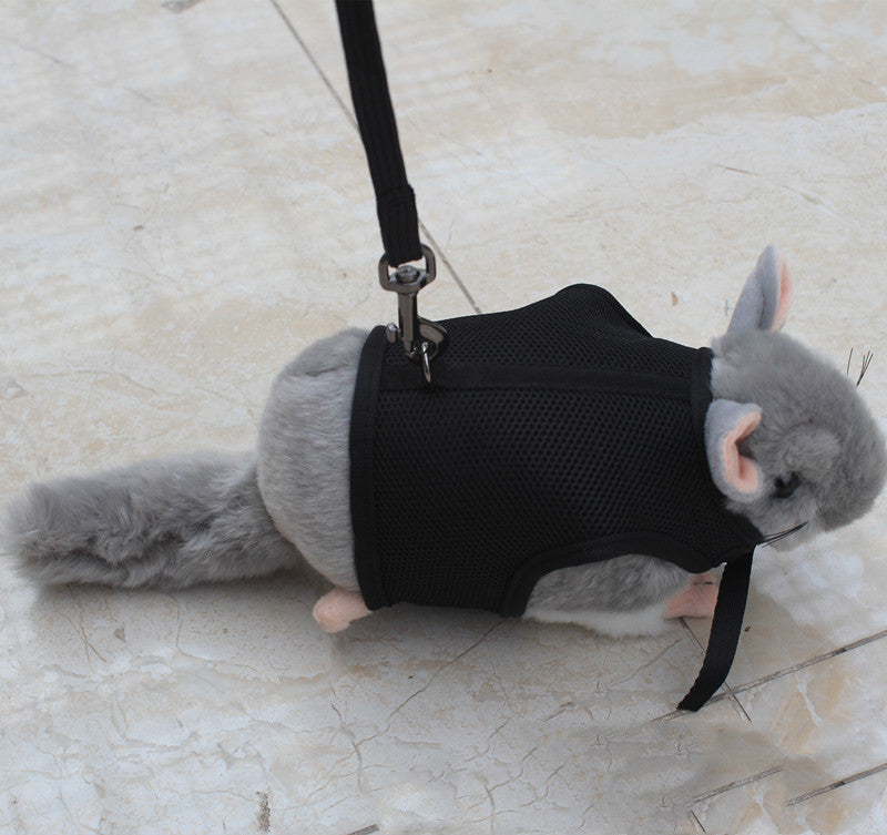 Pet Small Adjustable Safety Walking Leash