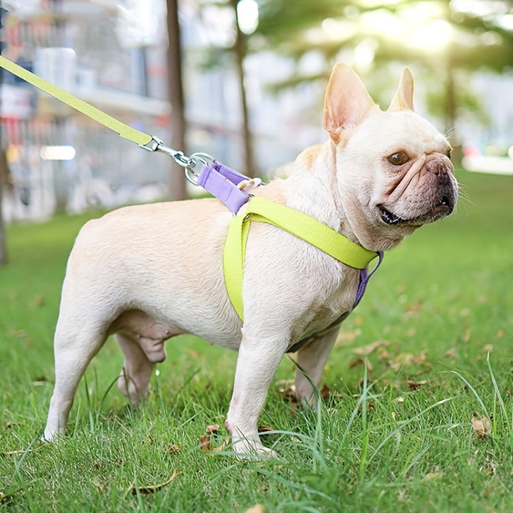 Pet Rainbow Colorblock Anti Escape Harness Vest Leash