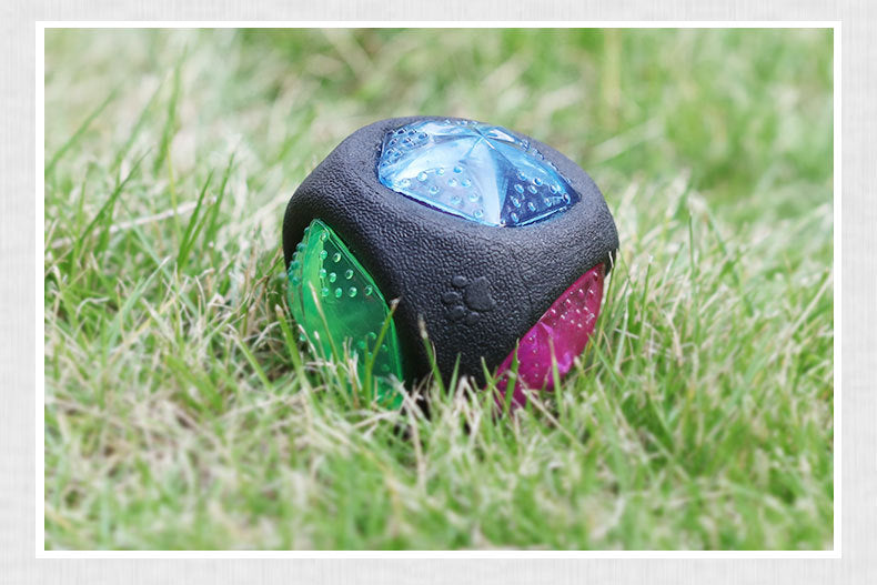 Pet Play Ball Interactive Toy For Small Animals