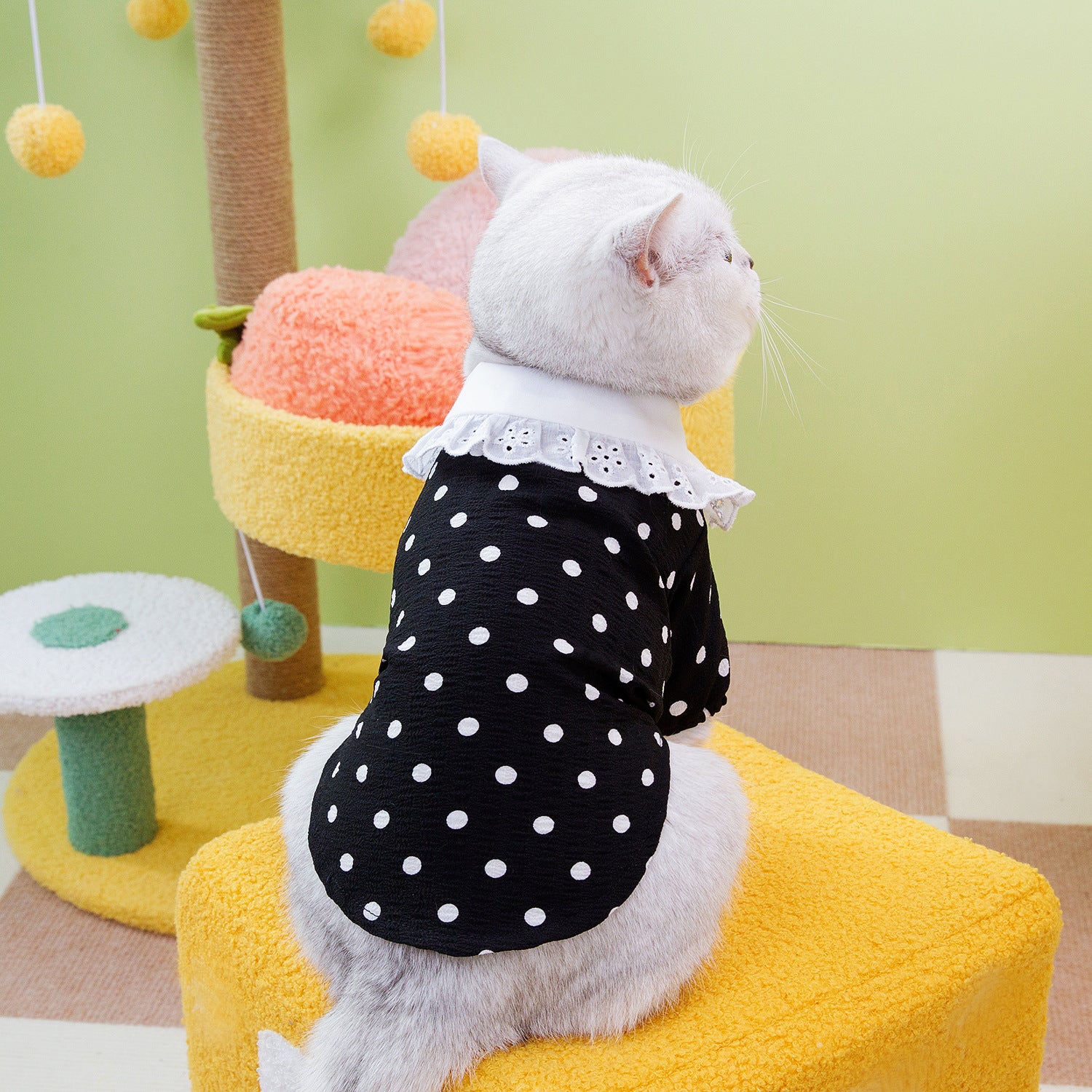 Pet Blue Ragdoll T Shirt Casual Clothing Top