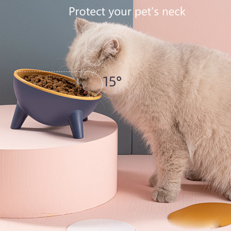 Nordic Style Pet Feeding Bowl With Stand Food And Water Dish