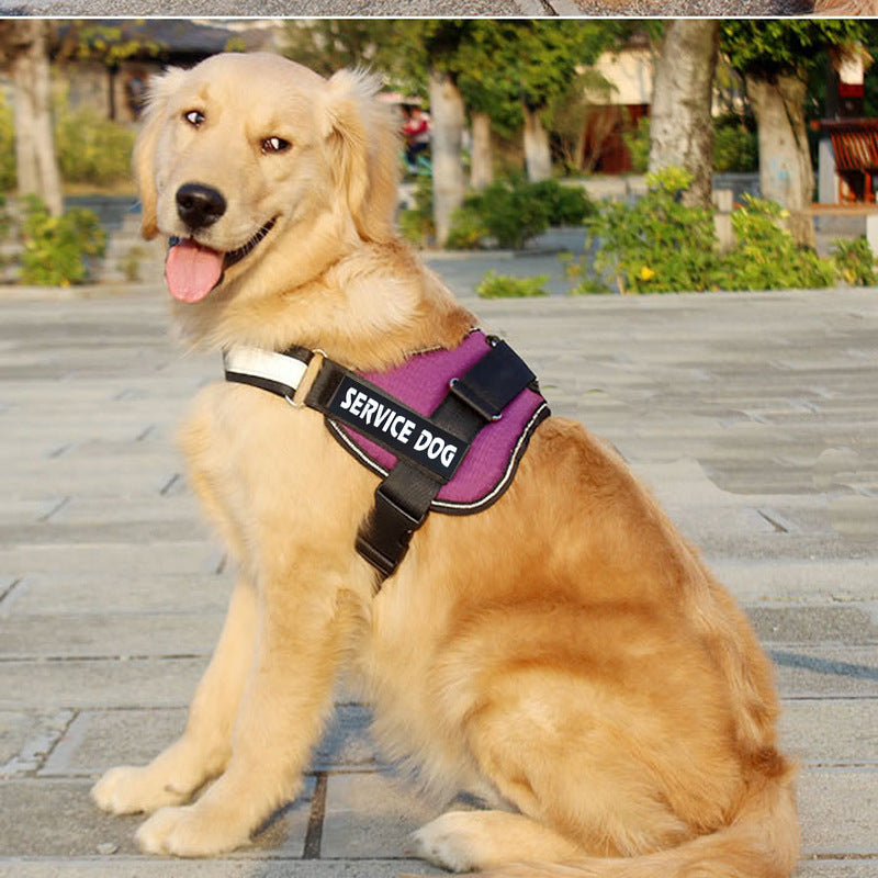 Pet Labrador Harness Walking Leash Safety Gear