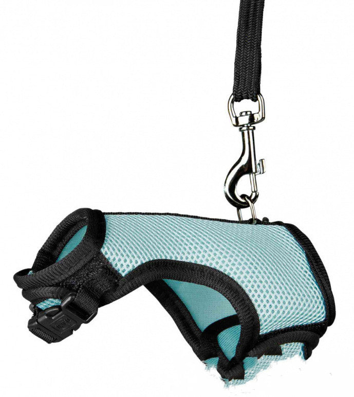 Pet Small Adjustable Safety Walking Leash