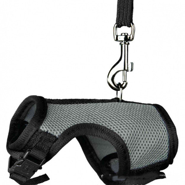 Pet Small Adjustable Safety Walking Leash