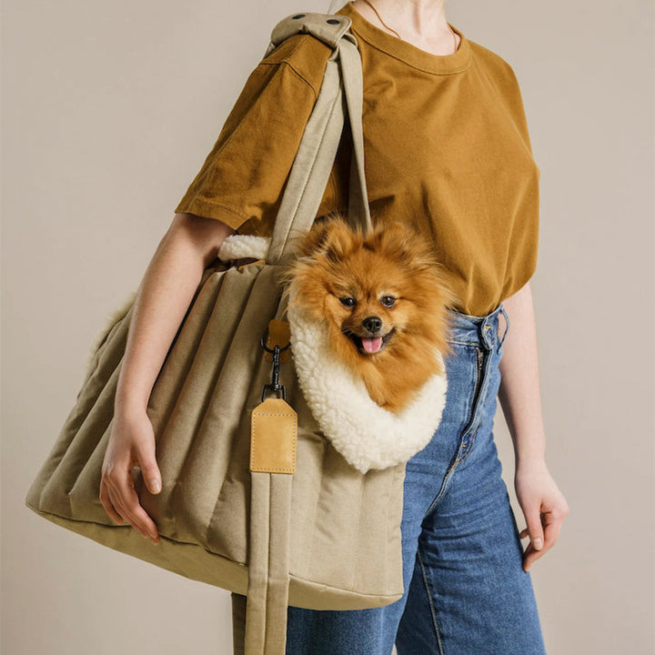 Lightweight Waterproof Pet Carrier Outdoor Fashion Handbag Bag