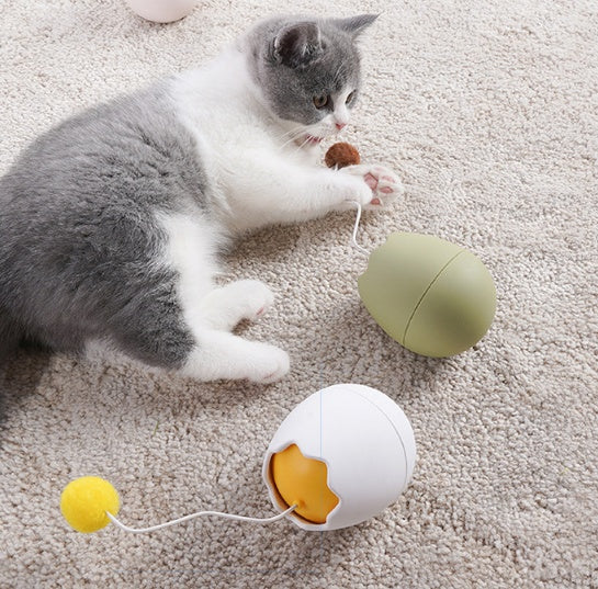 Funny Pet Interactive Toy Gadget For Play And Entertainment