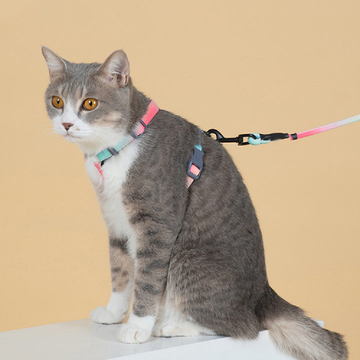 Pet Fashion Anti Escape Walking Leash Harness Gear
