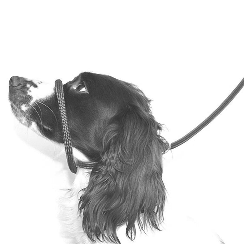 Pet Nylon Mouth Walking Safety Leash Harness
