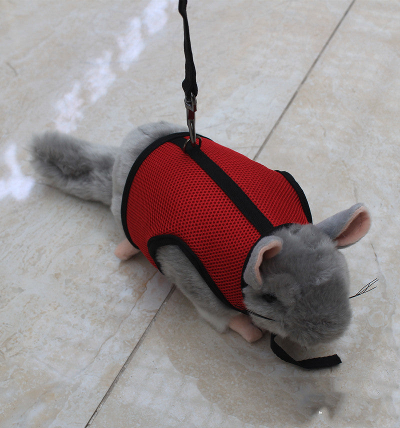 Pet Small Adjustable Safety Walking Leash