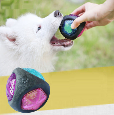 Pet Play Ball Interactive Toy For Small Animals