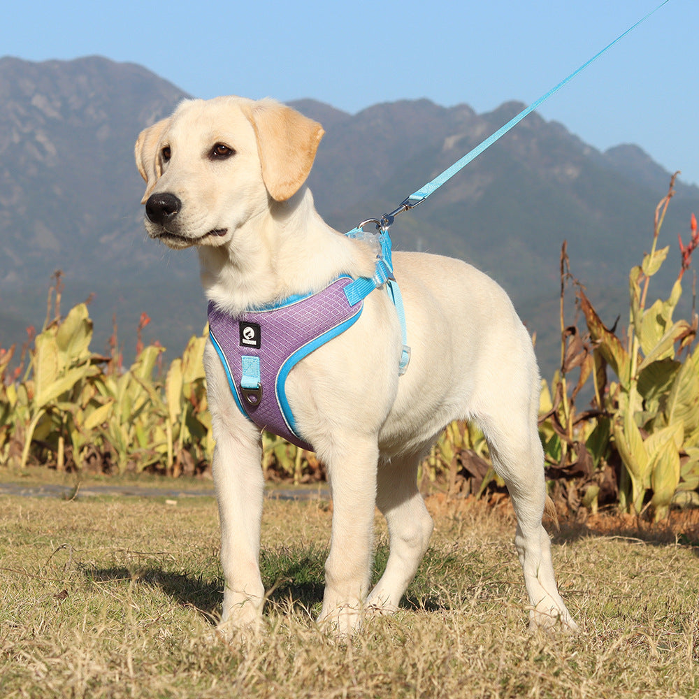 Pet Breathable Adjustable Harness Walking Leash