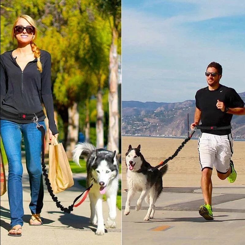 Pet Adjustable Harness Collar Jogging Walking Leash