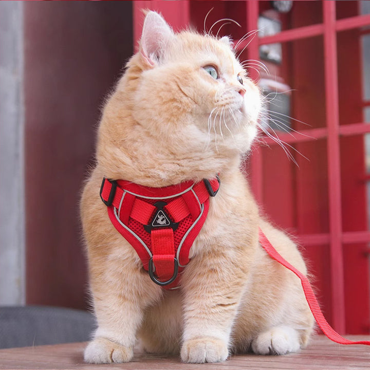 Pet New Vest Chest Strap Harness Walking Leash Gear