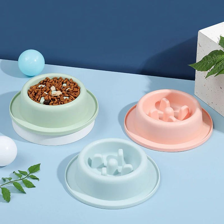 Pet Slow Feeding Anti Choking Interactive Food Bowl Plate