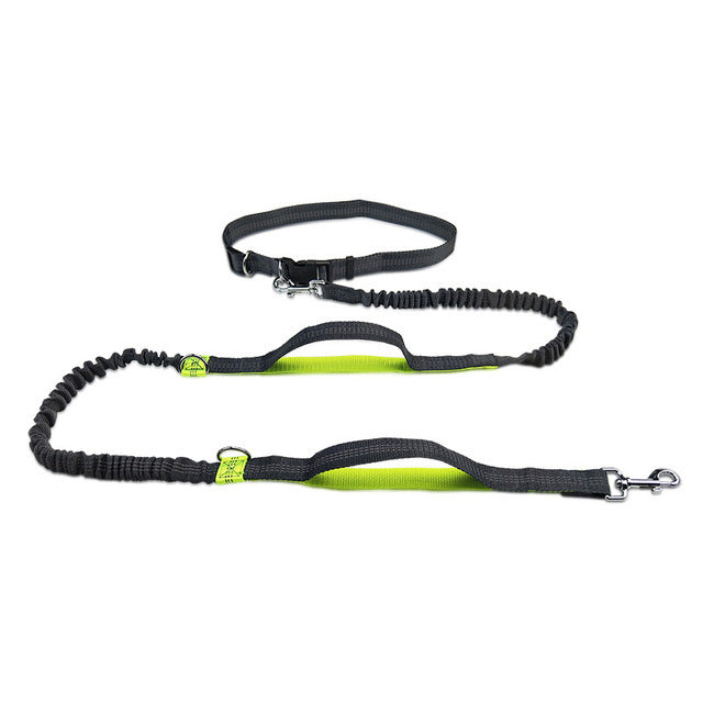 Pet Adjustable Harness Collar Jogging Walking Leash