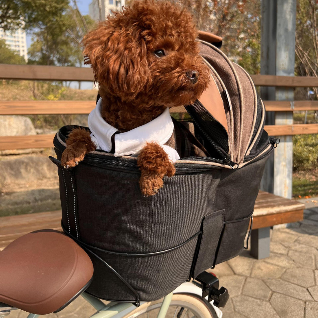 Pet Foldable Canvas Rear Seat Carrier Bag Travel
