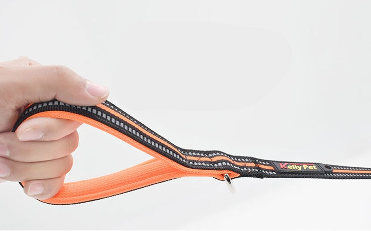 Pet Nylon Assisted Retractable Walking Leash Gear