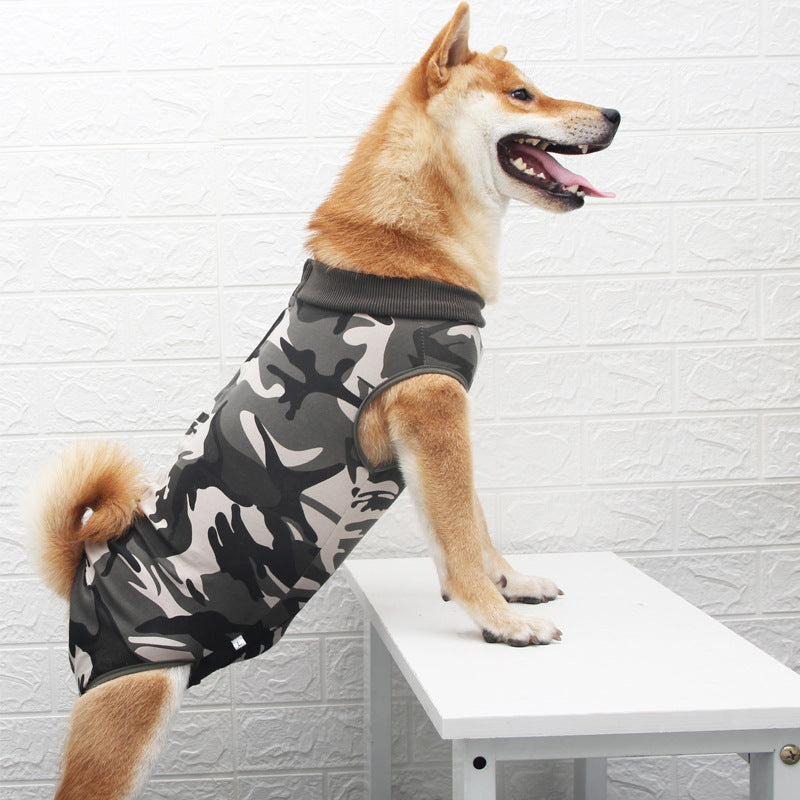 Pet Fashion Multi Color Personality Clothing Wear