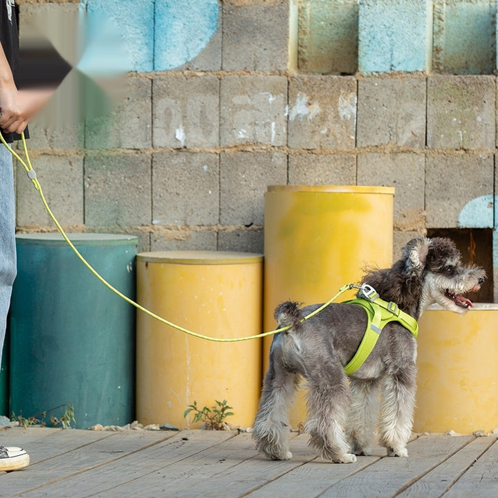 Pet Colorful Adjustable Sliding Walking Leash Tool