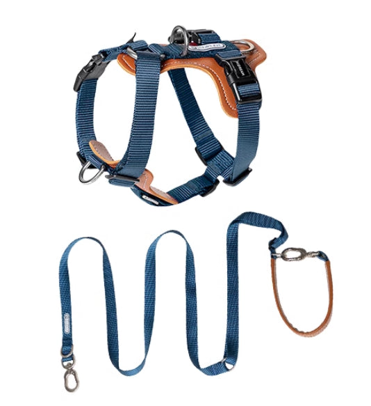 Pet Multifunctional Explosion Proof Chest Strap Rope Leash